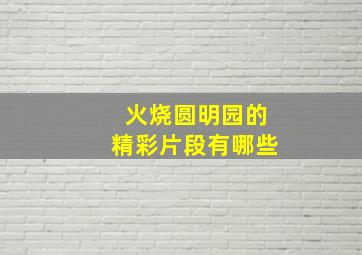 火烧圆明园的精彩片段有哪些