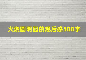 火烧圆明园的观后感300字