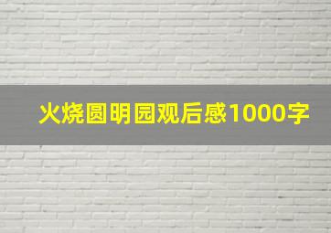 火烧圆明园观后感1000字