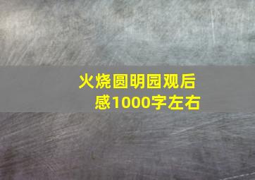 火烧圆明园观后感1000字左右