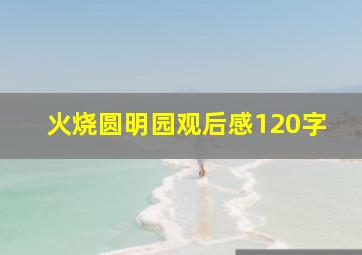 火烧圆明园观后感120字