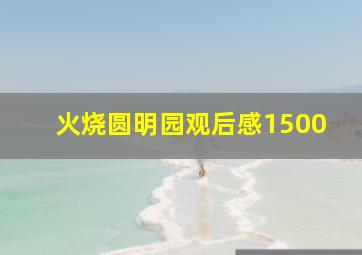 火烧圆明园观后感1500