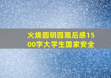 火烧圆明园观后感1500字大学生国家安全