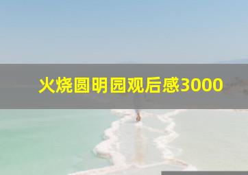 火烧圆明园观后感3000