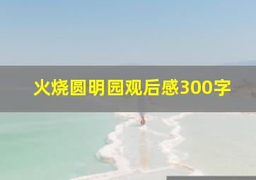 火烧圆明园观后感300字