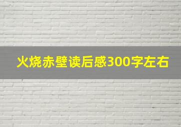 火烧赤壁读后感300字左右