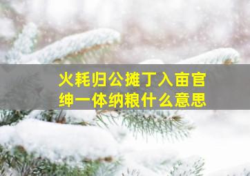 火耗归公摊丁入亩官绅一体纳粮什么意思