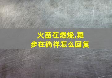 火苗在燃烧,舞步在徜徉怎么回复