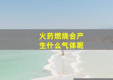 火药燃烧会产生什么气体呢