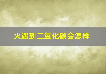 火遇到二氧化碳会怎样