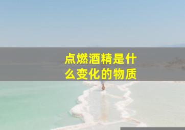 点燃酒精是什么变化的物质