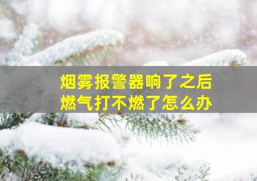 烟雾报警器响了之后燃气打不燃了怎么办