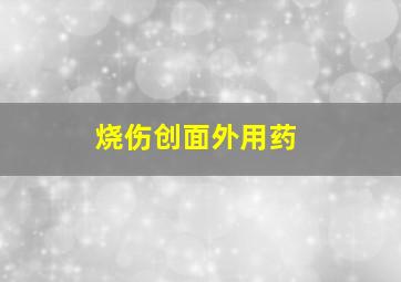 烧伤创面外用药