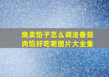 烧卖馅子怎么调法香菇肉馅好吃呢图片大全集