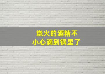 烧火的酒精不小心滴到锅里了