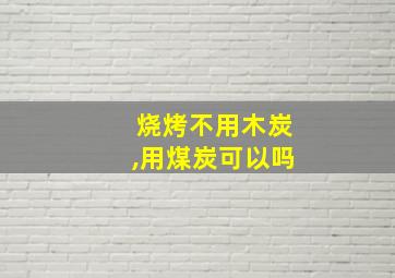 烧烤不用木炭,用煤炭可以吗