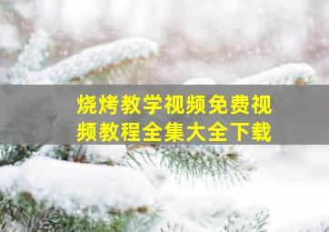 烧烤教学视频免费视频教程全集大全下载