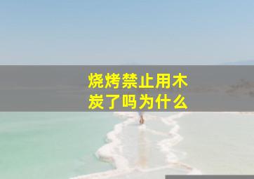 烧烤禁止用木炭了吗为什么