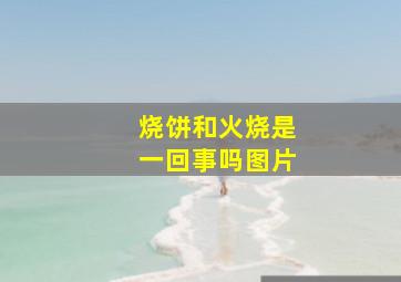 烧饼和火烧是一回事吗图片