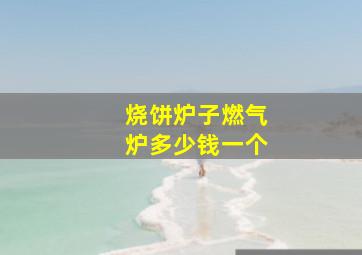 烧饼炉子燃气炉多少钱一个