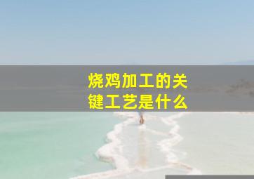 烧鸡加工的关键工艺是什么