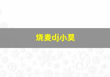 烧麦dj小莫