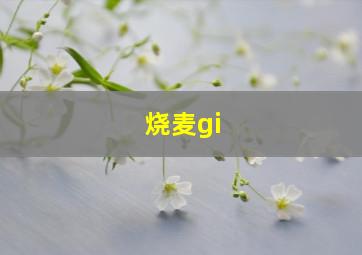 烧麦gi