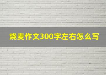 烧麦作文300字左右怎么写