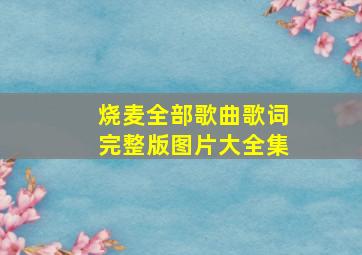 烧麦全部歌曲歌词完整版图片大全集