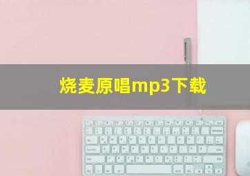 烧麦原唱mp3下载