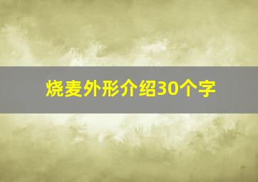 烧麦外形介绍30个字