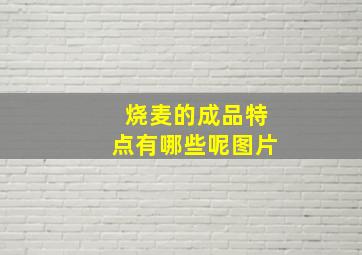 烧麦的成品特点有哪些呢图片