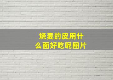 烧麦的皮用什么面好吃呢图片