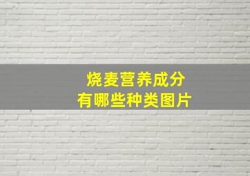 烧麦营养成分有哪些种类图片