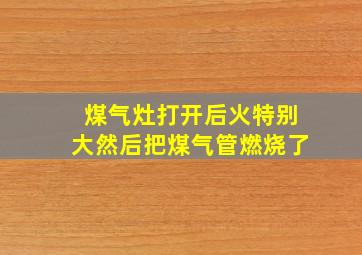 煤气灶打开后火特别大然后把煤气管燃烧了