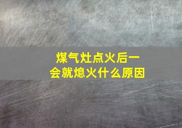 煤气灶点火后一会就熄火什么原因