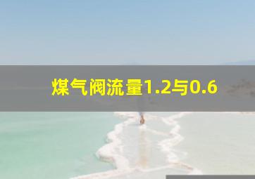 煤气阀流量1.2与0.6