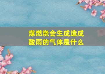 煤燃烧会生成造成酸雨的气体是什么