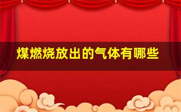 煤燃烧放出的气体有哪些