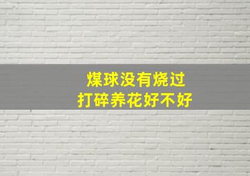 煤球没有烧过打碎养花好不好