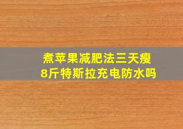 煮苹果减肥法三天瘦8斤特斯拉充电防水吗