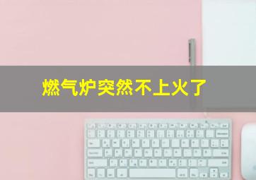 燃气炉突然不上火了