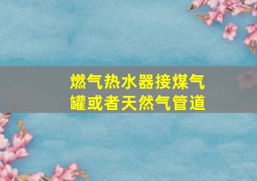 燃气热水器接煤气罐或者天然气管道