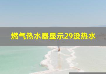 燃气热水器显示29没热水