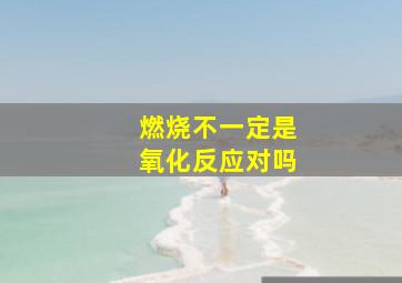 燃烧不一定是氧化反应对吗