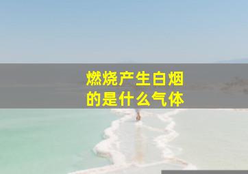 燃烧产生白烟的是什么气体