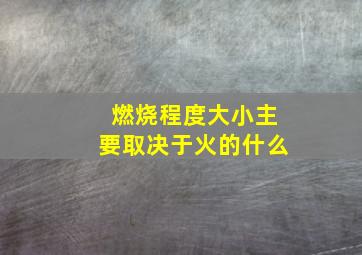 燃烧程度大小主要取决于火的什么