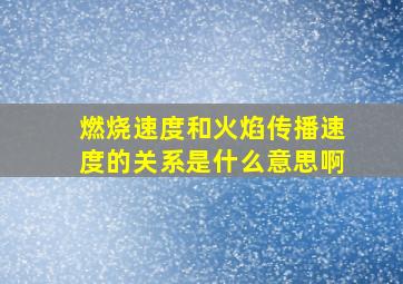 燃烧速度和火焰传播速度的关系是什么意思啊