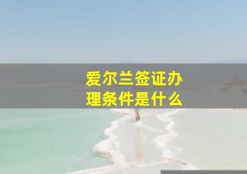 爱尔兰签证办理条件是什么