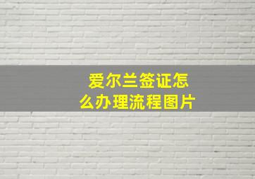 爱尔兰签证怎么办理流程图片